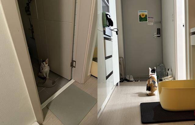 어머니가 여행을 떠난 뒤 문만 바라보는 쩨리. 보호자 제공