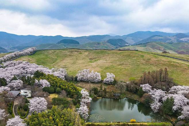서산한우목장 웰빙산책로 한가운데에는 고 김종필 총리가 살았던 별장이 있다. 현재는 농협 직원 숙소로 쓰고 있어서 외부인이 들어갈 순 없다.