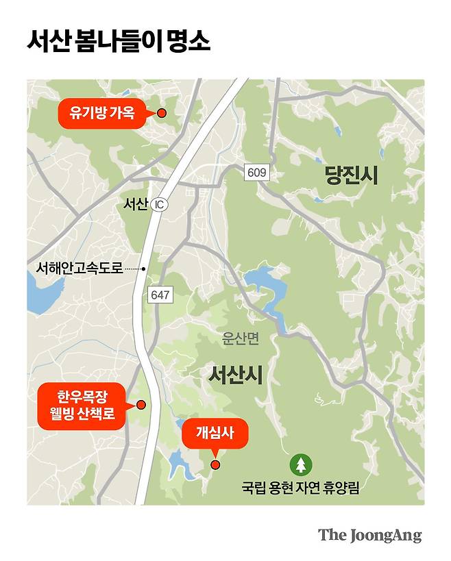 김영희 디자이너