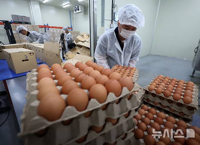 [당진=뉴시스] 이영환 기자 = 16일 충남 당진시 농업회사법인 한솔루트원에서 직원들이 태국산 신선란 포장 제거 작업을 하고 있다.한국농수산식품유통공사(aT)는 태국산 신선란 수입을 통해 국내 계란 수급 안정과 소비자 가격 부담 완화에 나선다고 밝혔다. 2026.04.16. 20hwan@newsis.com