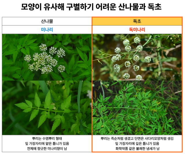 식품의약품안전처·산림청 국립수목원