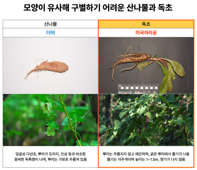식품의약품안전처·산림청 국립수목원