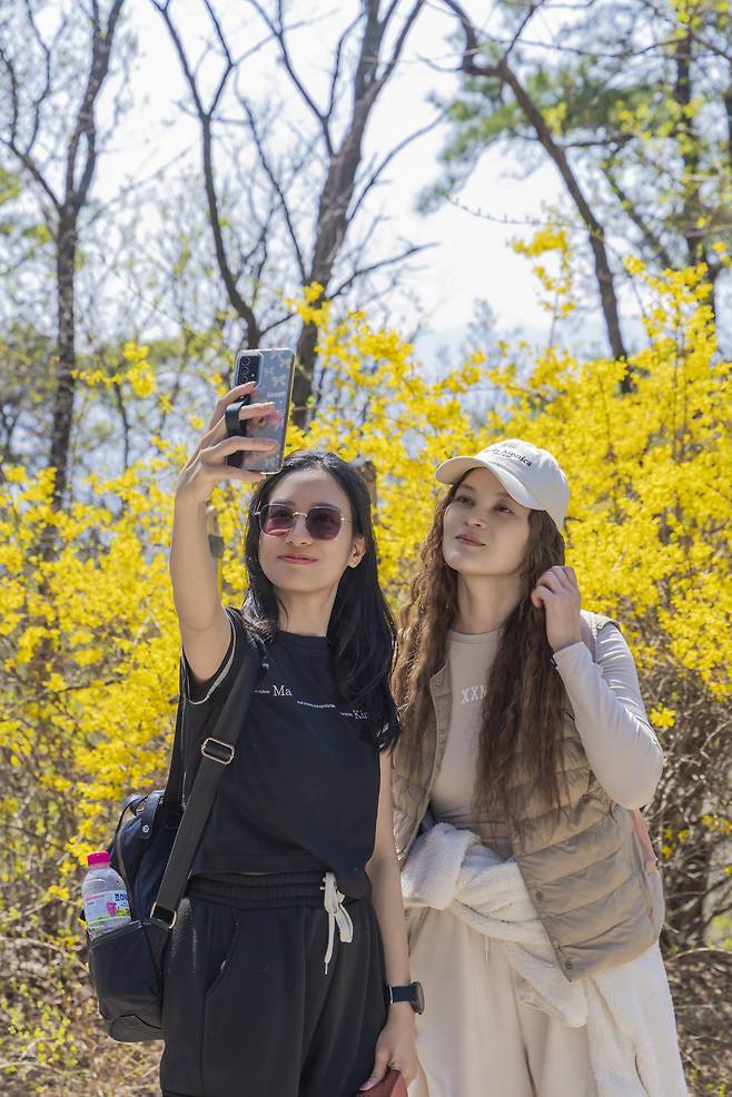 사진제공 ｜서울관광재단