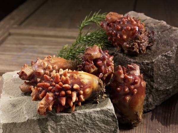 사진 게티이미지뱅크