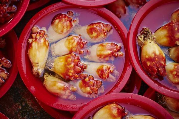 사진 게티이미지뱅크