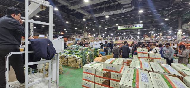 지난 10일 새벽 3시께 부산 반여농산물도매시장 내에서 채소 경매가 진행되고 있다. 김한수 기자 hangang@