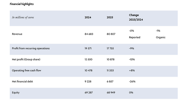 LVMH 그룹이 공개한 자사 재무재표 / 자료 = LVMH 홈페이지 캡처