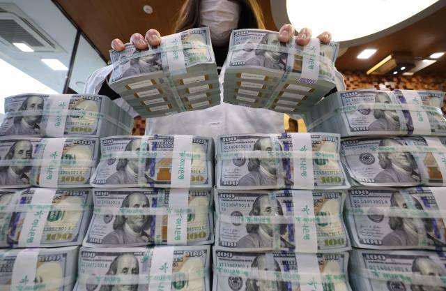 서울 중구 을지로 하나은행 본점 위변조대응센터에서 직원이 달러화를 정리하고 있는 모습 [사진=연합뉴스]