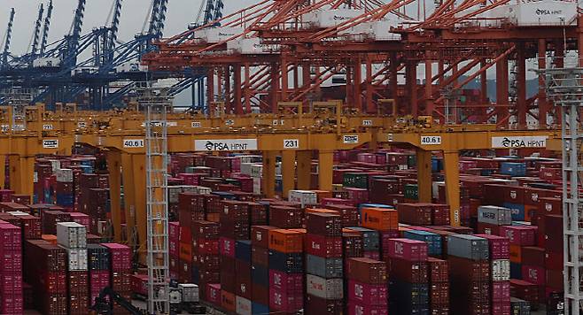 부산 강서구 부산항 신항 부두 야적장에 컨테이너가 가득 쌓여 있다.(사진= 연합뉴스)