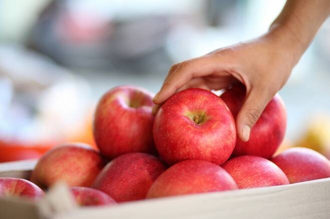 사과의 식이섬유인 펙틴은 장 건강, 혈관 건강에 도움을 준다. 사진=클립아트코리아