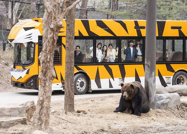 친환경 EV버스(에버랜드 제공)