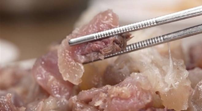 '전현무계획3' 도가니 수육