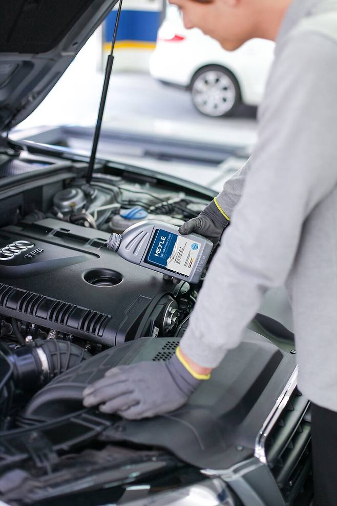 글로벌 자동차 프리미엄 부품기업인 독일 마일레(MEYLE) 제공