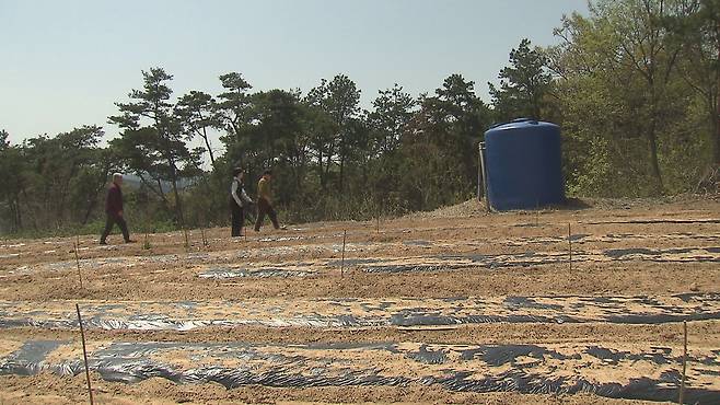 대구시 군위군 소보면 내의2리 주민들이 임시로 식수로 사용 중인 농업용 지하수 관정과 물탱크.