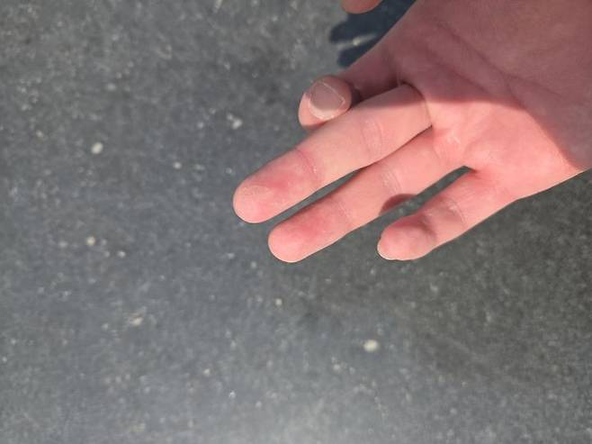 [서울=뉴시스] 심재민 인턴기자 = 지난 15일 서울 여의도 한강공원의 한 벤치에 노란빛 꽃가루가 쌓여 있다. 2026.04.15. photo@newsis.com *재판매 및 DB 금지