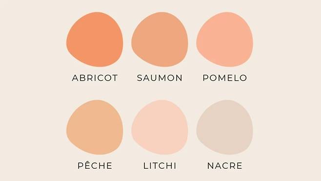 프로방스 로제 와인 컬러 종류. 뱅드프로방스