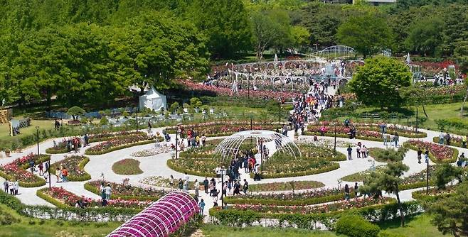 ▲ 오는 24일 '2026 고양국제꽃박람회' 개막과 함께 선보일 장미원 전경 /사진제공=고양시