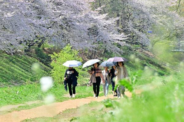 한낮 초여름 날씨를 보인 지난 13일 인천시 부평구 굴포천 산책로에서 시민들이 양산을 쓰고 이동하고 있다. 이진우 기자 ljw@kihoilbo.co.kr