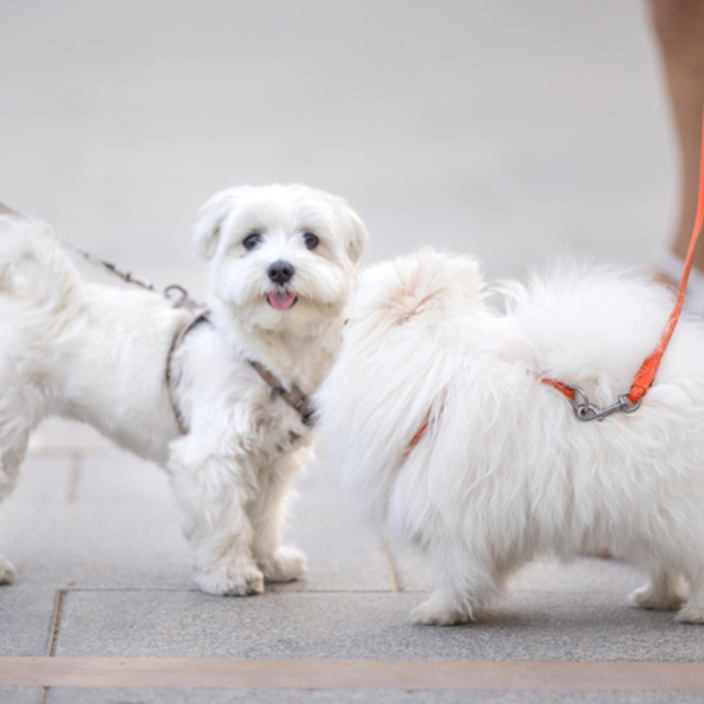 게티이미지뱅크