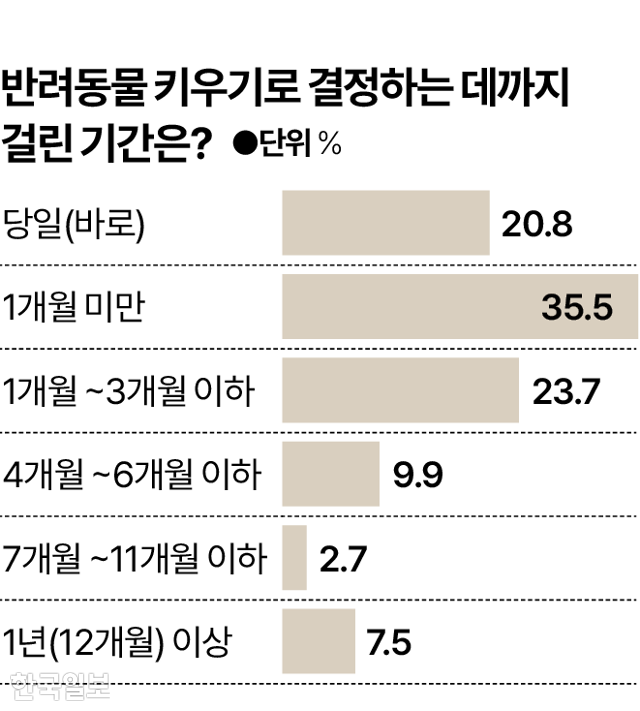 시각물_반려동물 키우기 결정 기간 그래픽=박종범 기자