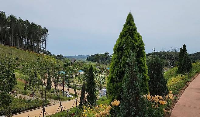 충남 서해안의 대표적 관광 명소인 안면도에 자연의 아름다움과 치유 기능을 동시에 담아낸 체류형 힐링 공간 '안면도 지방정원'이 문을 연다. 6월 정식 개장을 앞두고 25일 시범 운영에 들어간다. [사진 충남도]