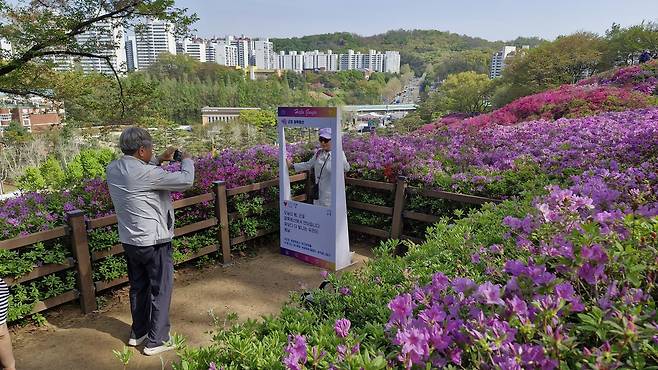철쭉동산 포토존  : 사진 = 손대선 기자