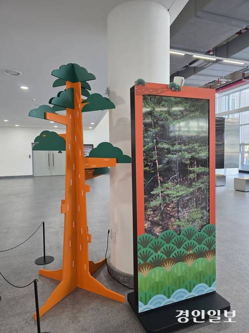 국립농업박물관 테마전 ‘금강송 곁에’ 전시 모습. 2026.4.17 /구민주기자 kumj@kyeongin.com