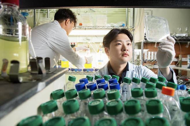 실험 중인 UST 학생들 모습 (사진=UST 제공)