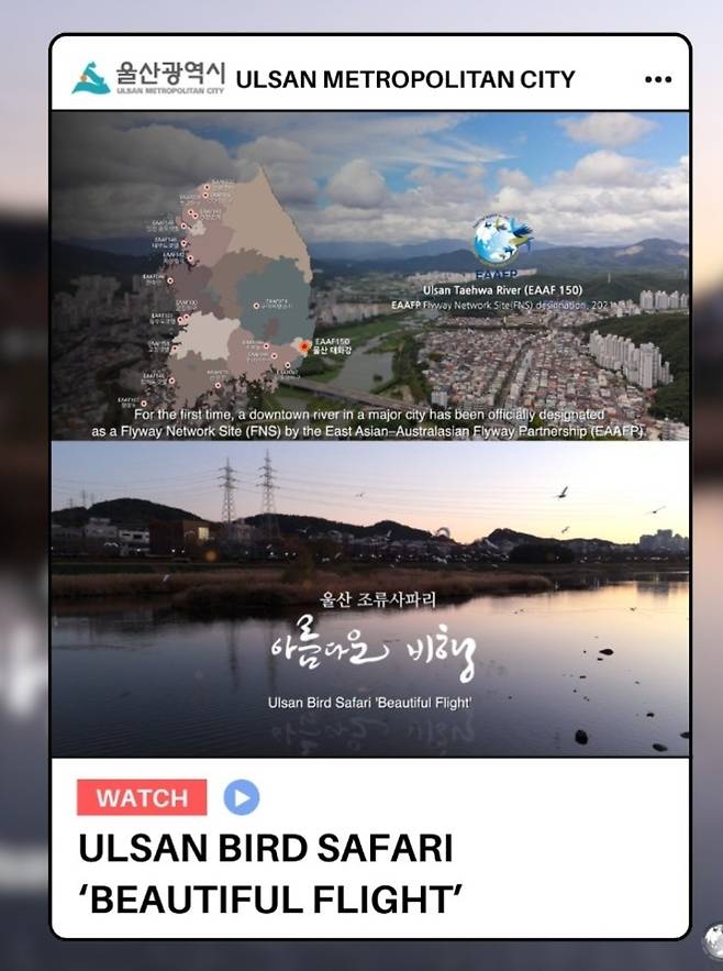 울산 조류사파리 공식 채널. 울산시 제공