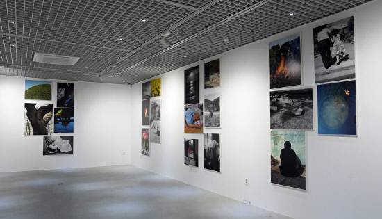 이언경 '태양아래 죽은거목 등을꺾어 매미-울고' 전시 모습. 백지영기자