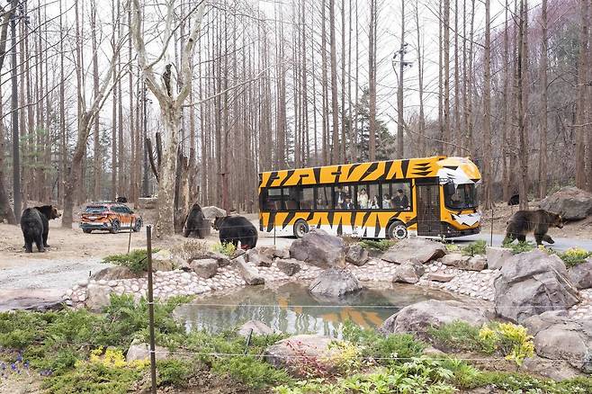 동물 콘셉트로 외관을 꾸민 40인승 EV버스(에버랜드 제공)