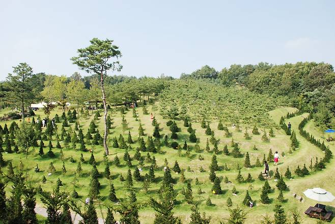 경기도 안성시에 있는 유토피아수목장 전경. /웅진프리드라이프