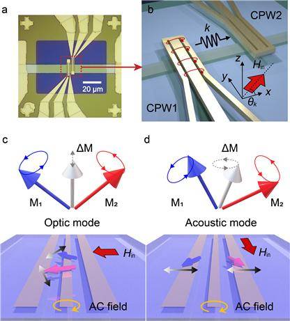 합성 반강자성체(SAF) 구조와 스핀파 전파 소자 개요. 두 안테나 사이에서 스핀파가 전파되며 안테나와 자기장의 상대적 방향에 따라 스핀파가 급격히 변화하는 '모드 점프' 현상이 일어난다. KAIST 제공