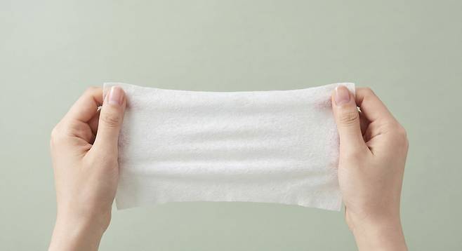 배변 후 화장지 대신 물티슈를 사용하는 사람이 적지 않다.​/사진=클립아트코리아