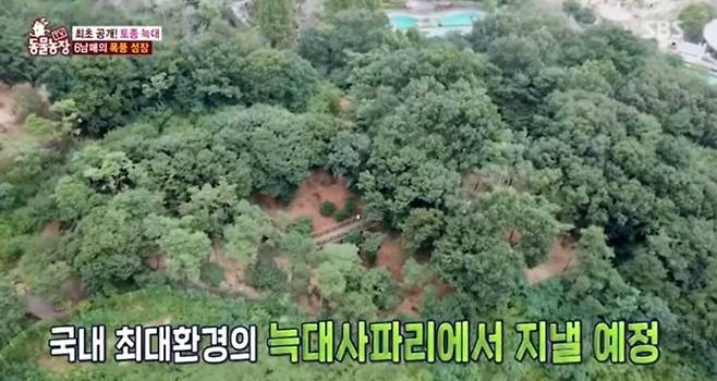 대전 오월드 늑대 사파리 [‘TV동물농장’]