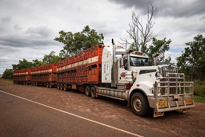 지난해 4월 호주 캐서린과 다윈 사이 도로 위를 달리는 로드 트레인의 모습. 호주의 육상 수송을 담당하는 로드 트레인도 급등하는 경유 가격을 견디지 못해 운송 횟수를 줄이는 등 고육책을 강구하고 있다.[게티이미지]