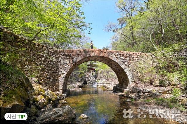 승선교 아래와 반원 속 원경의 밝기가 다르므로 이를 자동으로 보정해주는 HDR 모드를 설정한 후 사진을 찍는다. 사진=백승철 프리랜서 기자