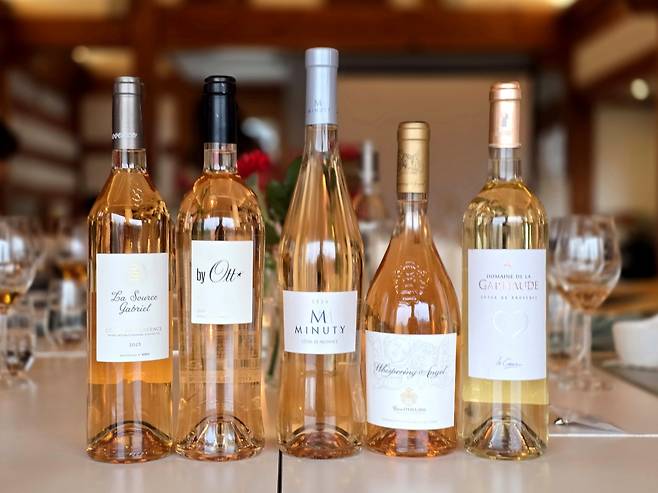 다양한 프로방스 로제 와인. 최현태 기자