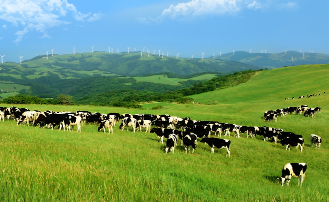 삼양라운드힐. 삼양라운드힐 홈페이지
