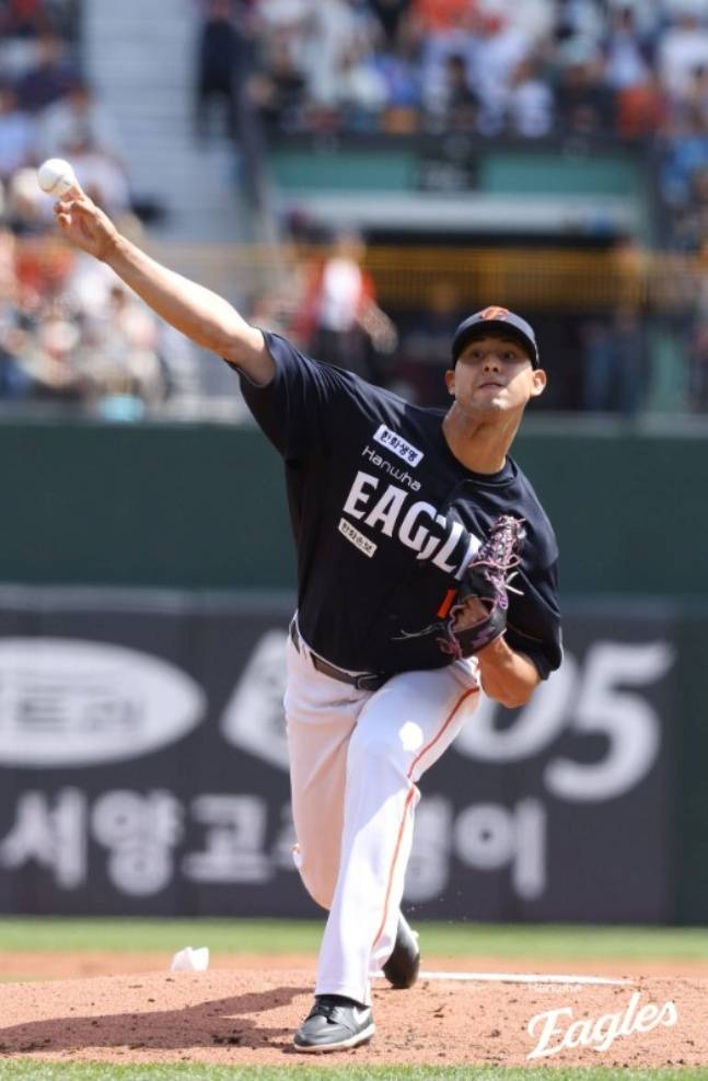 한화 외국인 투수 윌켈 에르난데스가 19일 부산 롯데전에서 역투했다. /사진=한화 이글스 제공