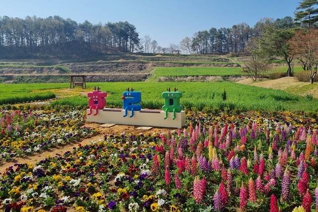 회룡포 봄 풍경. /예천군 제공