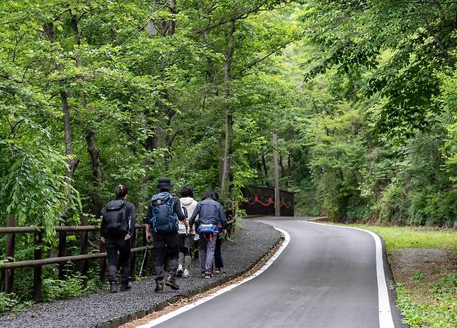 봄철 걷기 명소 동서트레일 영주 구간이 주목 받고 있다. <영주시 제공>