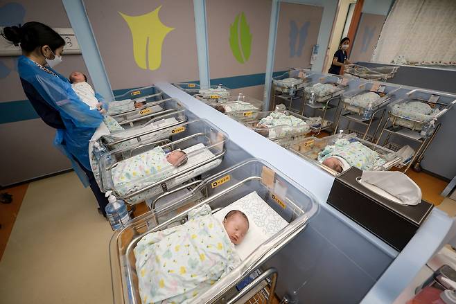 경기 고양시 CHA의과학대학교 일산차병원 신생아실에서 간호사가 신생아들을 돌보고 있다.(뉴시스)
