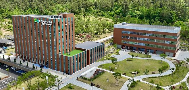 지난해 5월 대전 서구 관저동에 문을 연 지하 1층, 지상 7층 규모의 산림복지종합교육센터. 본관동(왼쪽 건물)은 높이 27.6m로 국내에서 가장 높은 목조건축물이다. 이 밖에 4층 교육동과 2층 숲속도서관 건물도 모두 목재로 지었다. 산림청 제공