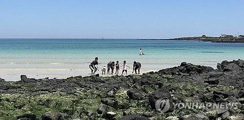 우도 홍조단괴 바다. 제주특별자치도가 우도 홍조단괴 해빈 주변 건축행위 허용기준 조정을 위해 이달 30일까지 주민과 관계자 의견을 받는다. /사진=연합뉴스