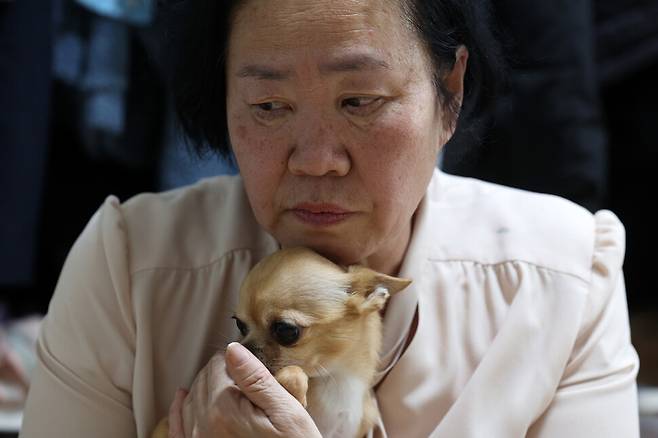 허정미씨가 지난 14일 오후 서울 노원구 자택에서 반려견 루이를 품에 안고 앉아 있다. 김영원 기자 forever@hani.co.kr