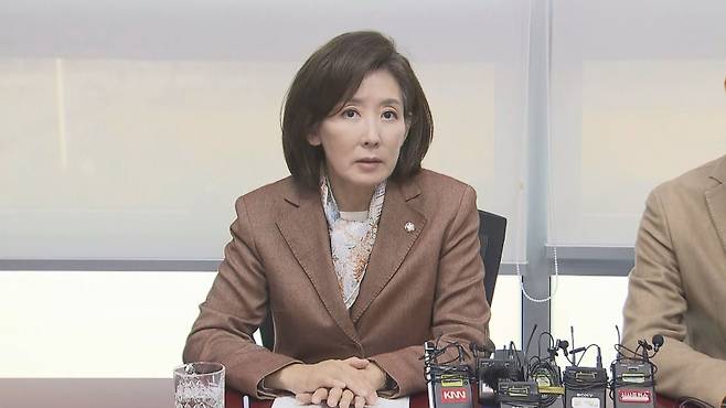 나경원 국민의힘 의원