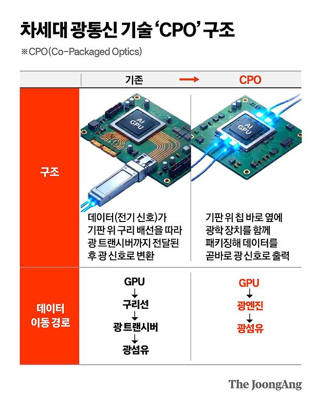정근영 디자이너