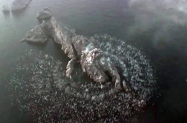 북한이 20일 공개한 집속탄 시험 사진. 노동신문, 뉴스1