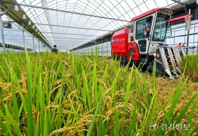 기사의 이해를 돕기 위한 이미지로 직접적 연관은 없습니다. 경기일보DB